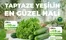 İyaş Hipermarket kataloğu, Mamak | Fırsat avcıları için harika teklifler | 2026-04-12T00:00:00.000Z - 2026-04-26T00:00:00.000Z